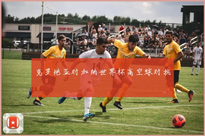克罗地亚对加纳世界杯高空球对抗