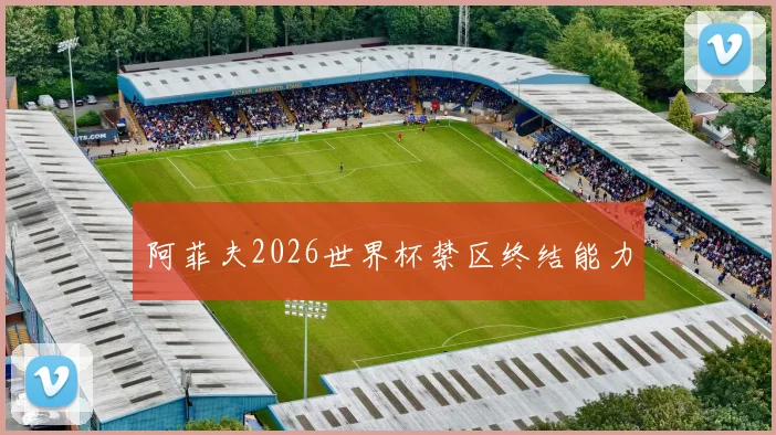 阿菲夫2026世界杯禁区终结能力
