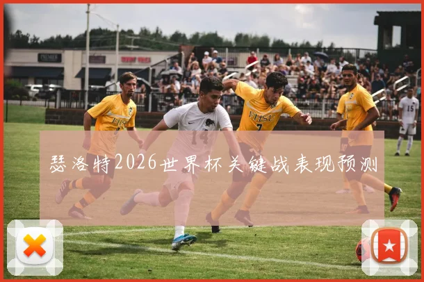 瑟洛特2026世界杯关键战表现预测