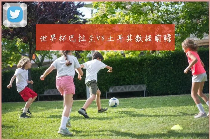 世界杯巴拉圭vs土耳其数据前瞻