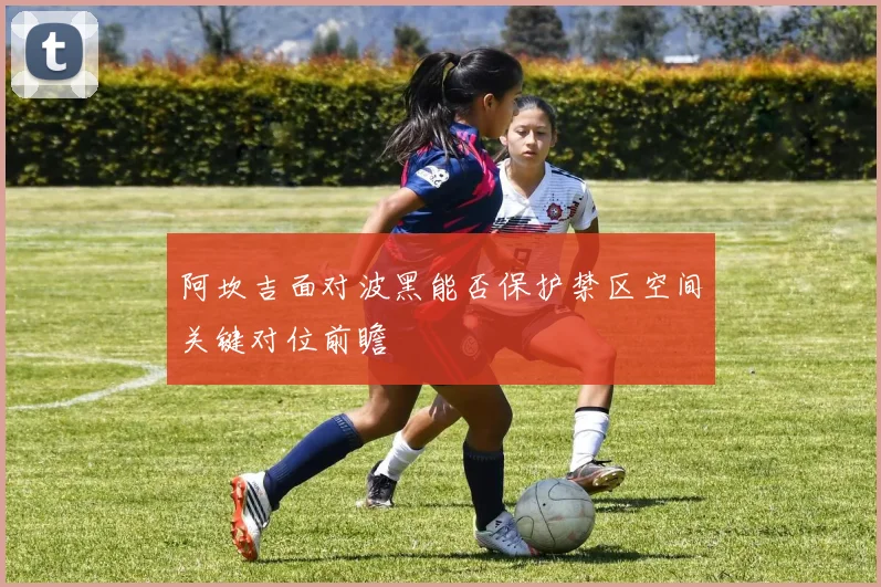 阿坎吉面对波黑能否保护禁区空间关键对位前瞻