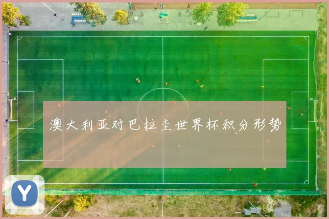 澳大利亚对巴拉圭世界杯积分形势