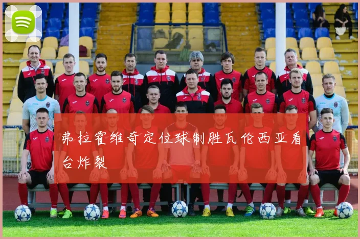 弗拉霍维奇定位球制胜瓦伦西亚看台炸裂