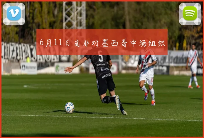6月11日南非对墨西哥中场组织