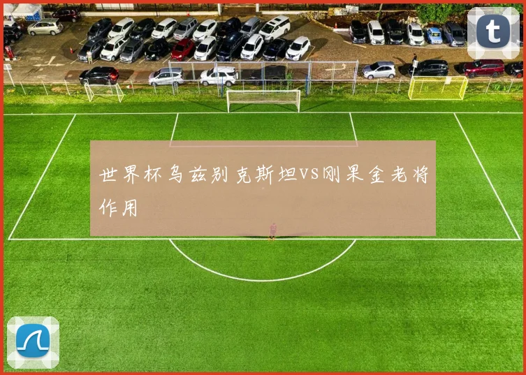 世界杯乌兹别克斯坦vs刚果金老将作用