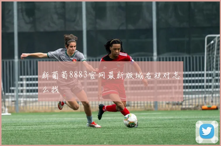 新葡萄8883官网最新版域名核对怎么找